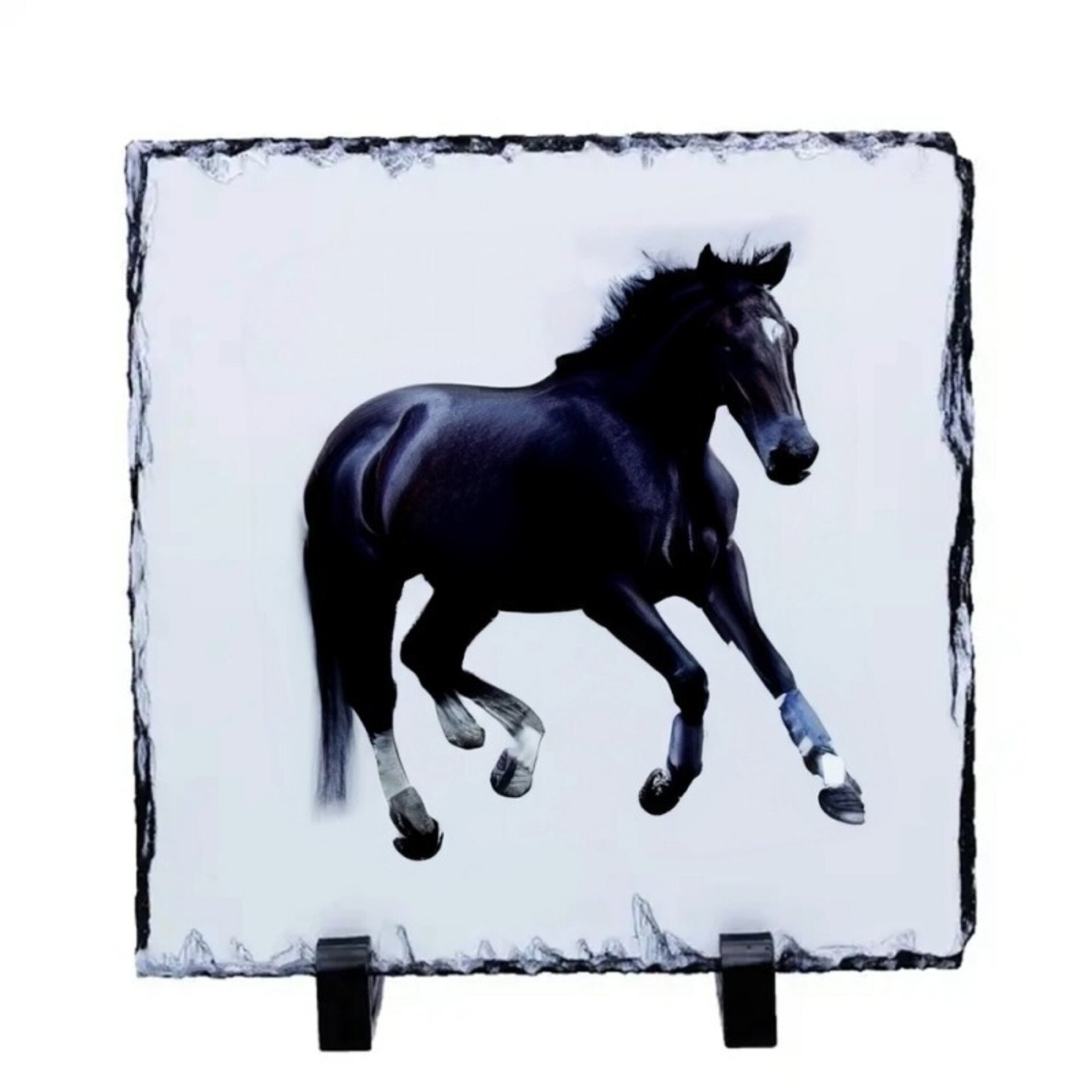 Fotopaneles pizarra - 4